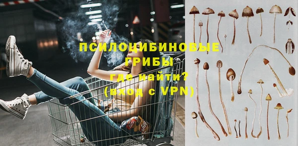 стаф Абаза