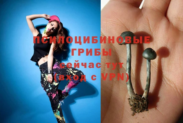 соль ск Абинск