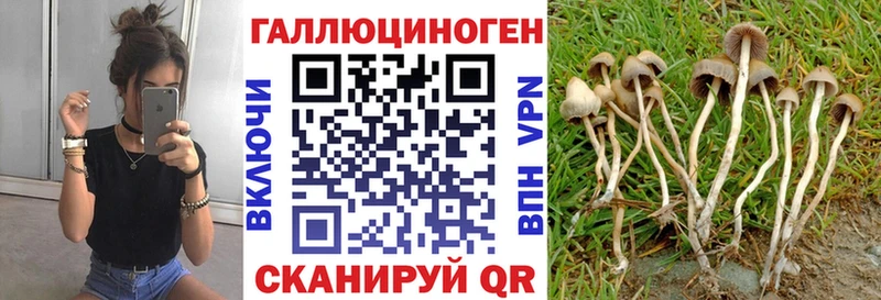 как найти закладки  Невельск  МЕГА зеркало  Псилоцибиновые грибы прущие грибы 